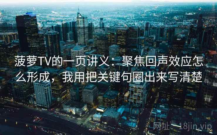 菠萝TV的一页讲义：聚焦回声效应怎么形成，我用把关键句圈出来写清楚